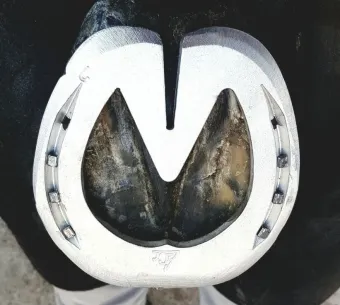 ACR-800 Heart Bar Shoe